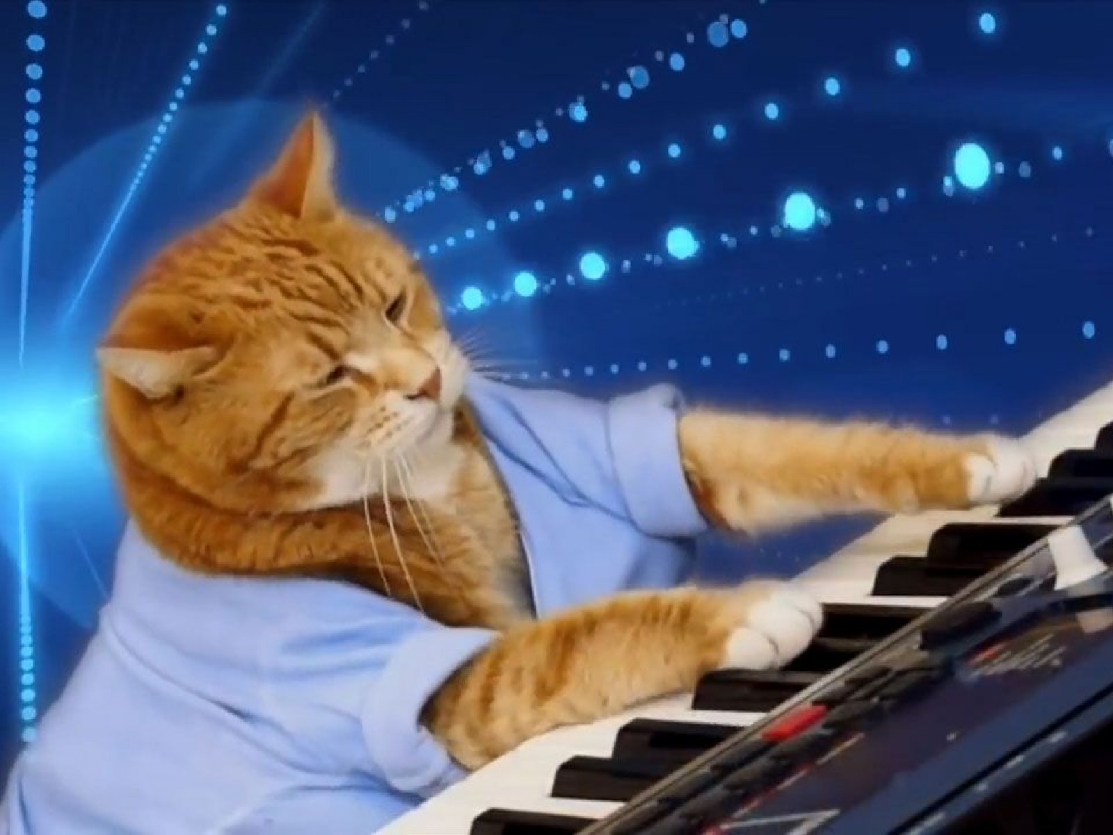 Включи кот петь. Кейборд Кэт. Кот пианист Фатсо. Кот пианист 1984.