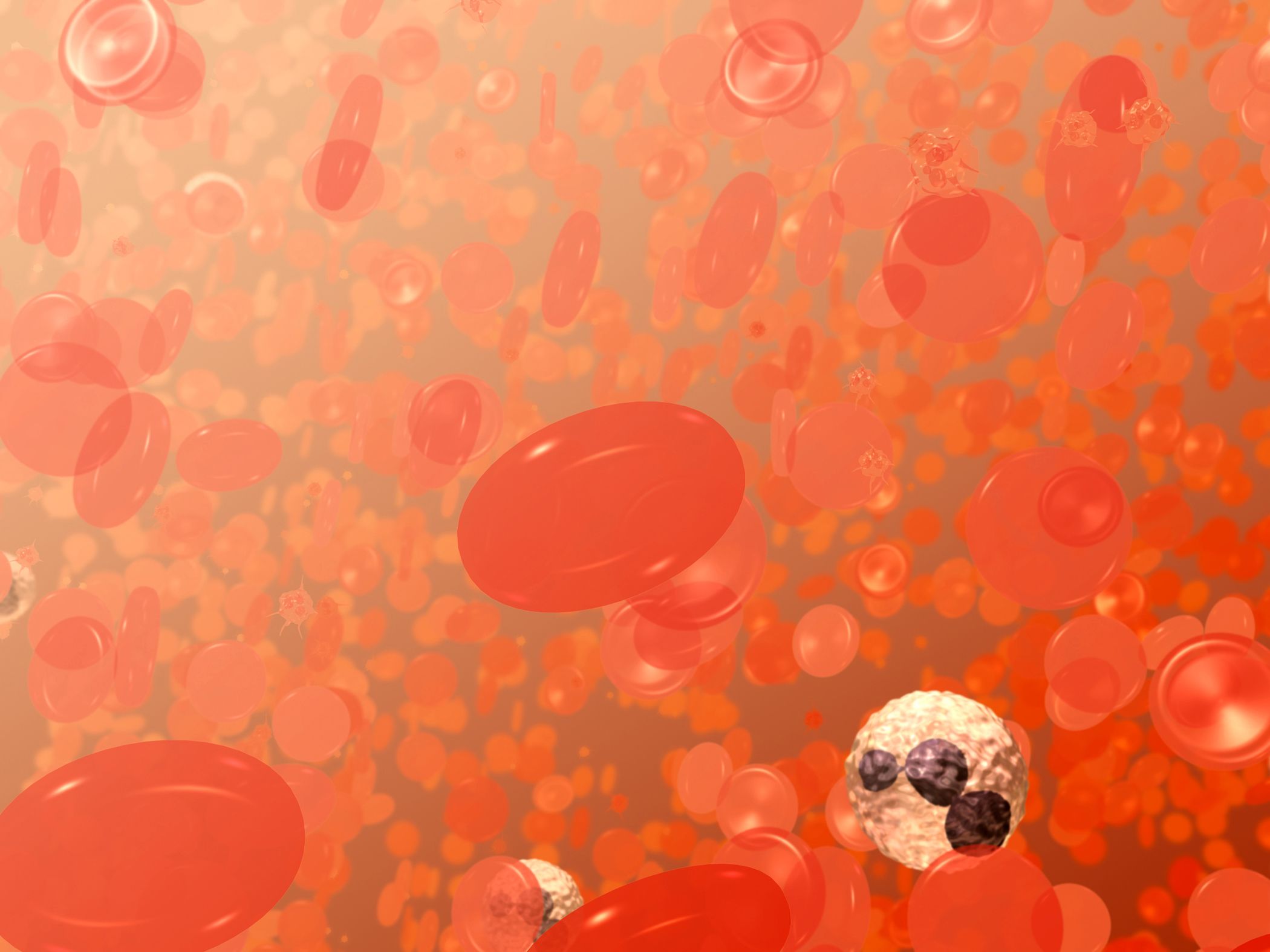 blood cells nih illustration