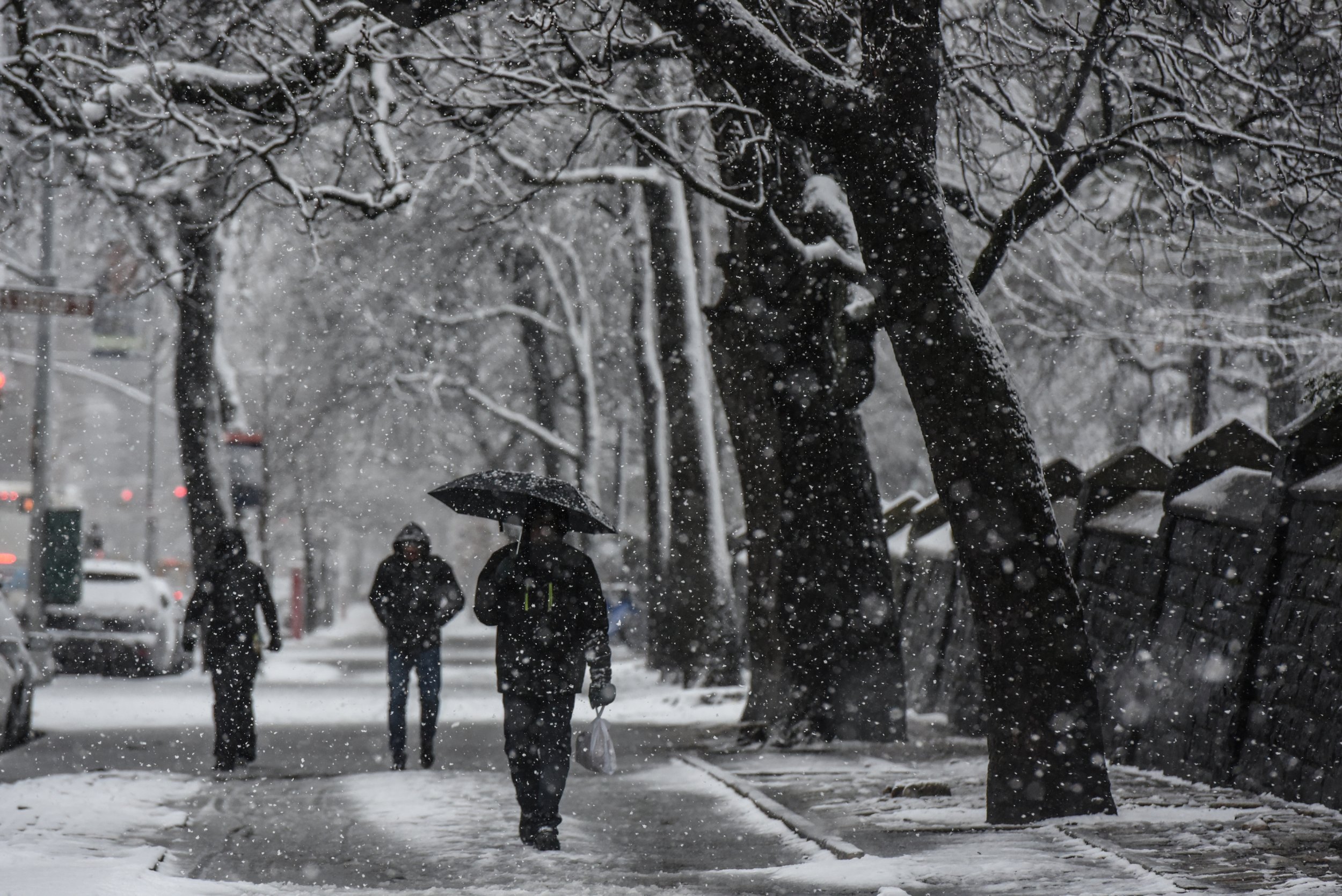 Schools Closed By Winter Storm Toby: Will Boston, New York ...