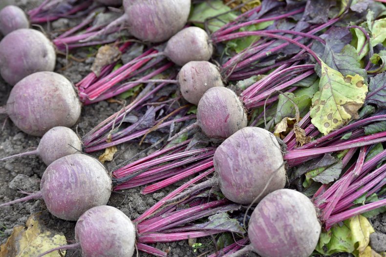 03_21_beets