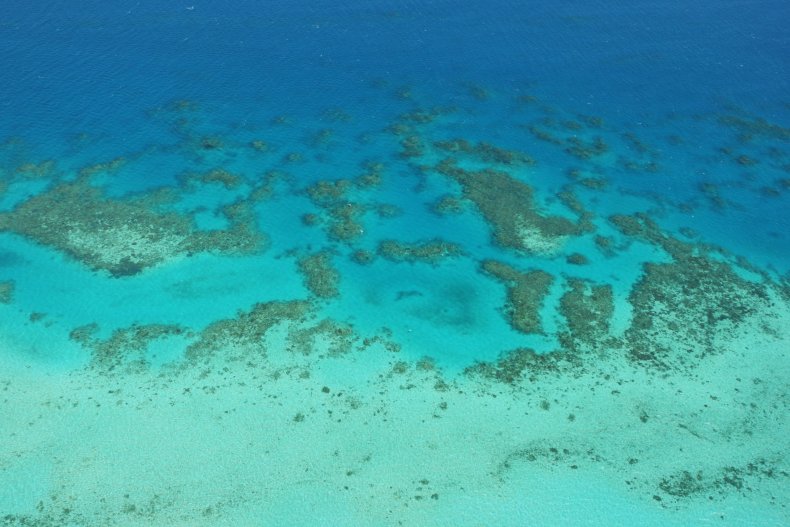 reef