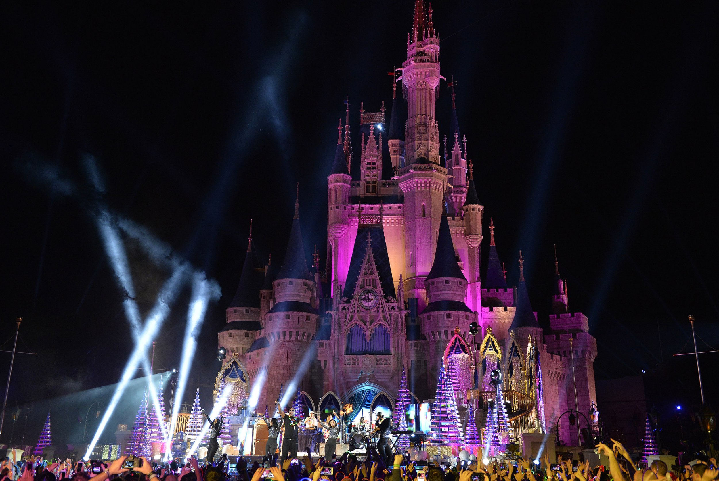 Man Sues Disney After He Was Bitten By Rat On Wife s Wheelchair At Park