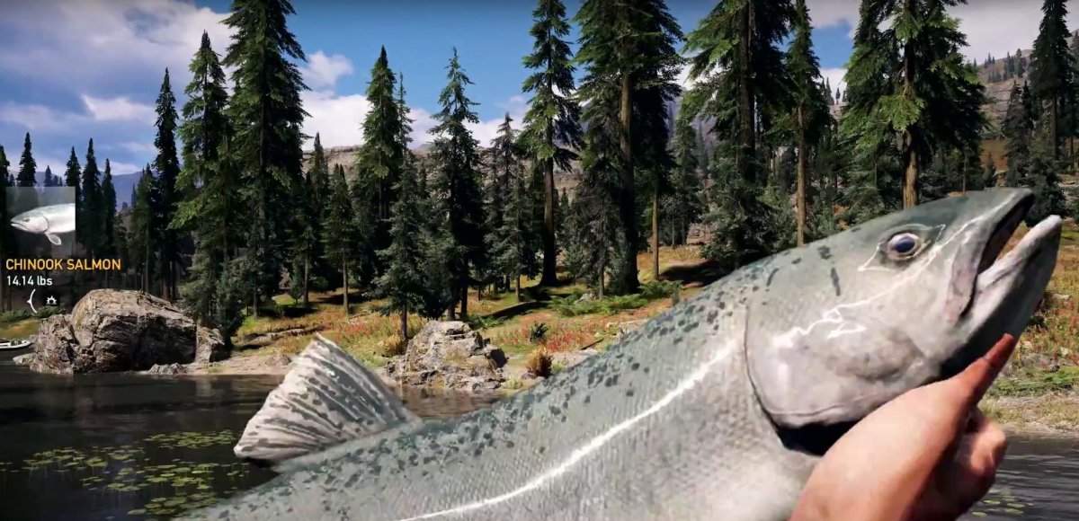 Far Cry 5' Fishing Guide: Best Records, Locations, Perks and More