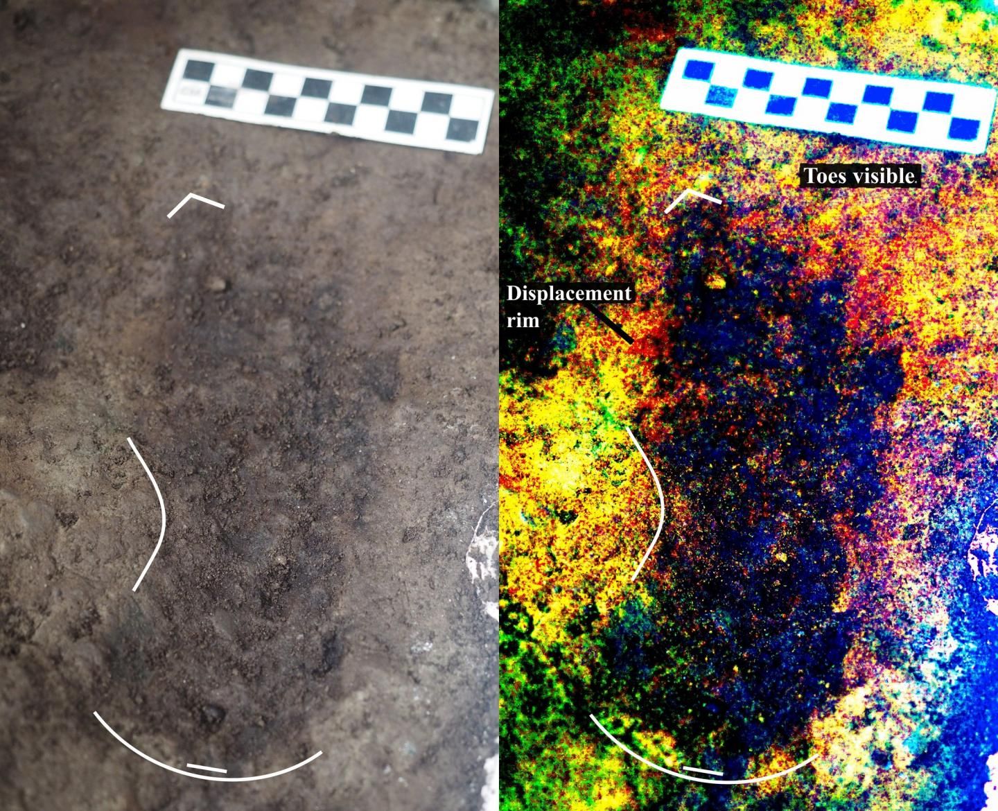 ancient-human-footprints-are-oldest-ever-found-in-north-america