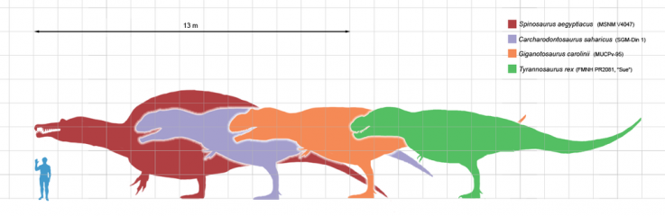 4_3_Therapods 4_3_Therapods
