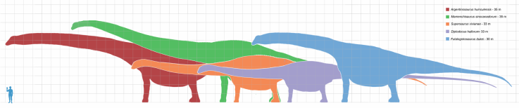 4_3_Sauropods 4_3_Sauropods