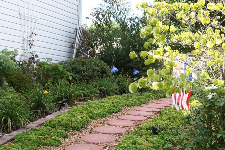 Side Yard 2