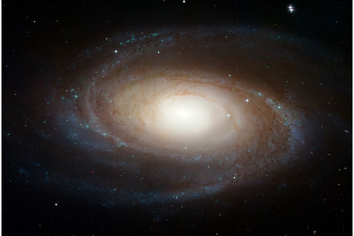41 Hubble Photographs Grand Design Spiral Galaxy M81