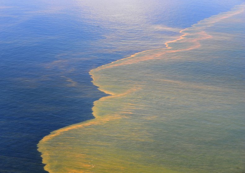 Oil spill Deepwater Horizon Gulf of Mexico