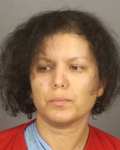 Woman Charged With Murder for Stabbing, Decapitating 7-Year-Old Son ...