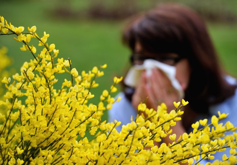 allergy season flowers and sneezing