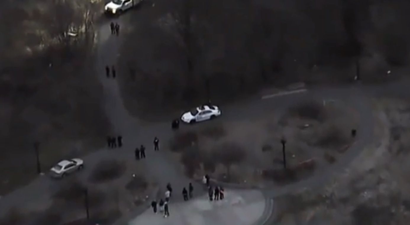 Brooklyn Torso Murder "I Thought It Was A Doll" Jack The Ripper