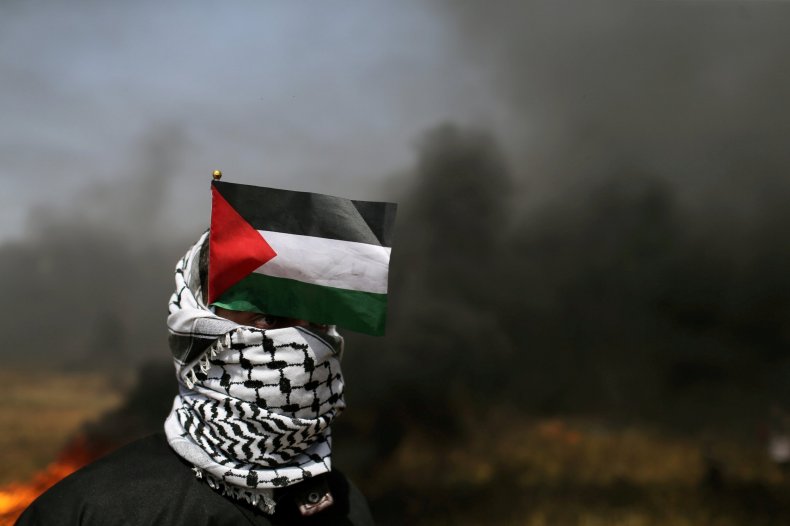 Palestinian protestor