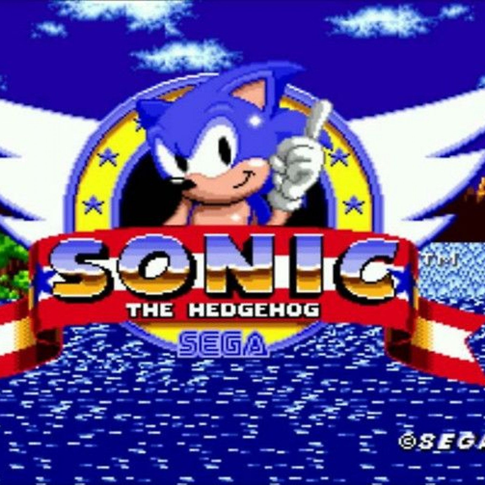Image result for Sonic the Hedgehog 1991