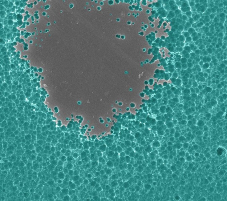 NREL-Electron-Microscope-Enzyme-Interaction-2 NREL-Electron-Microscope-Enzyme-Interaction-2