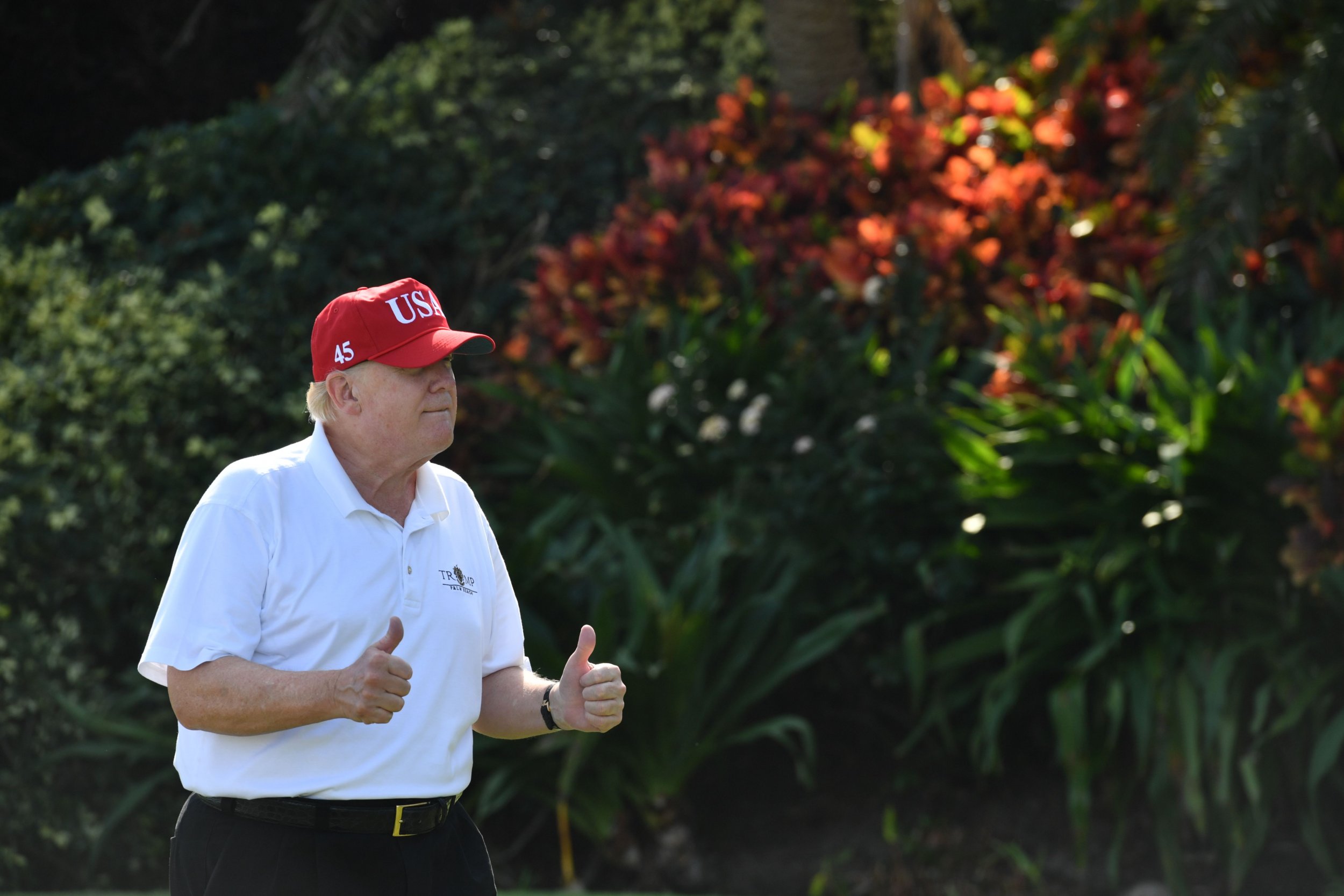 Trump-golf