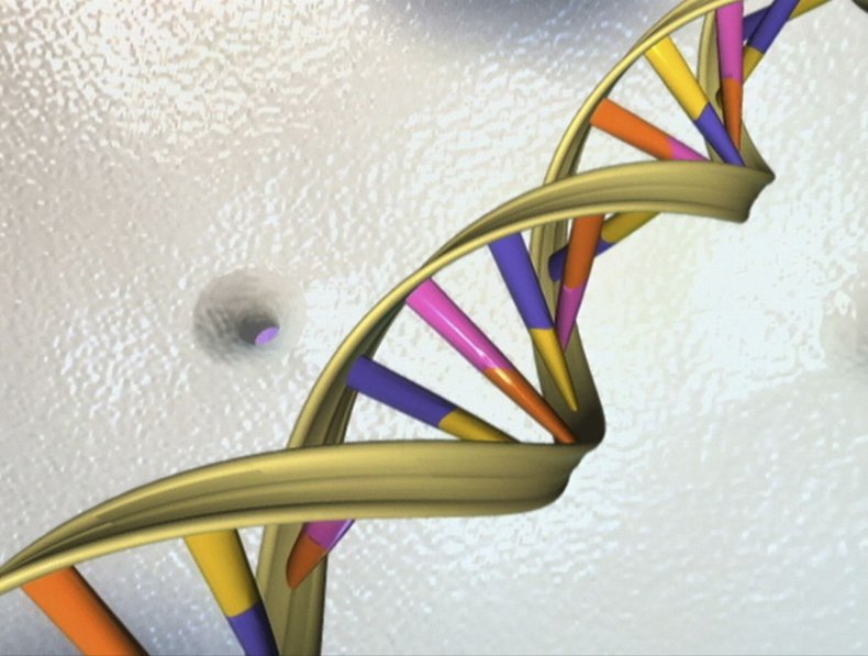 4_23_Double Helix DNA