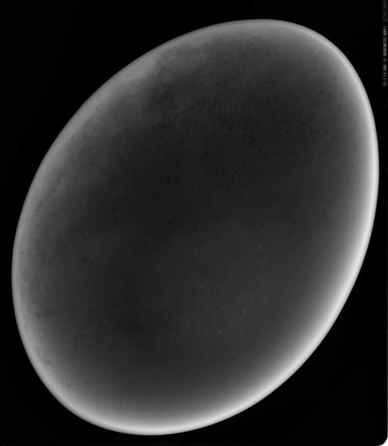 BIG-EGG