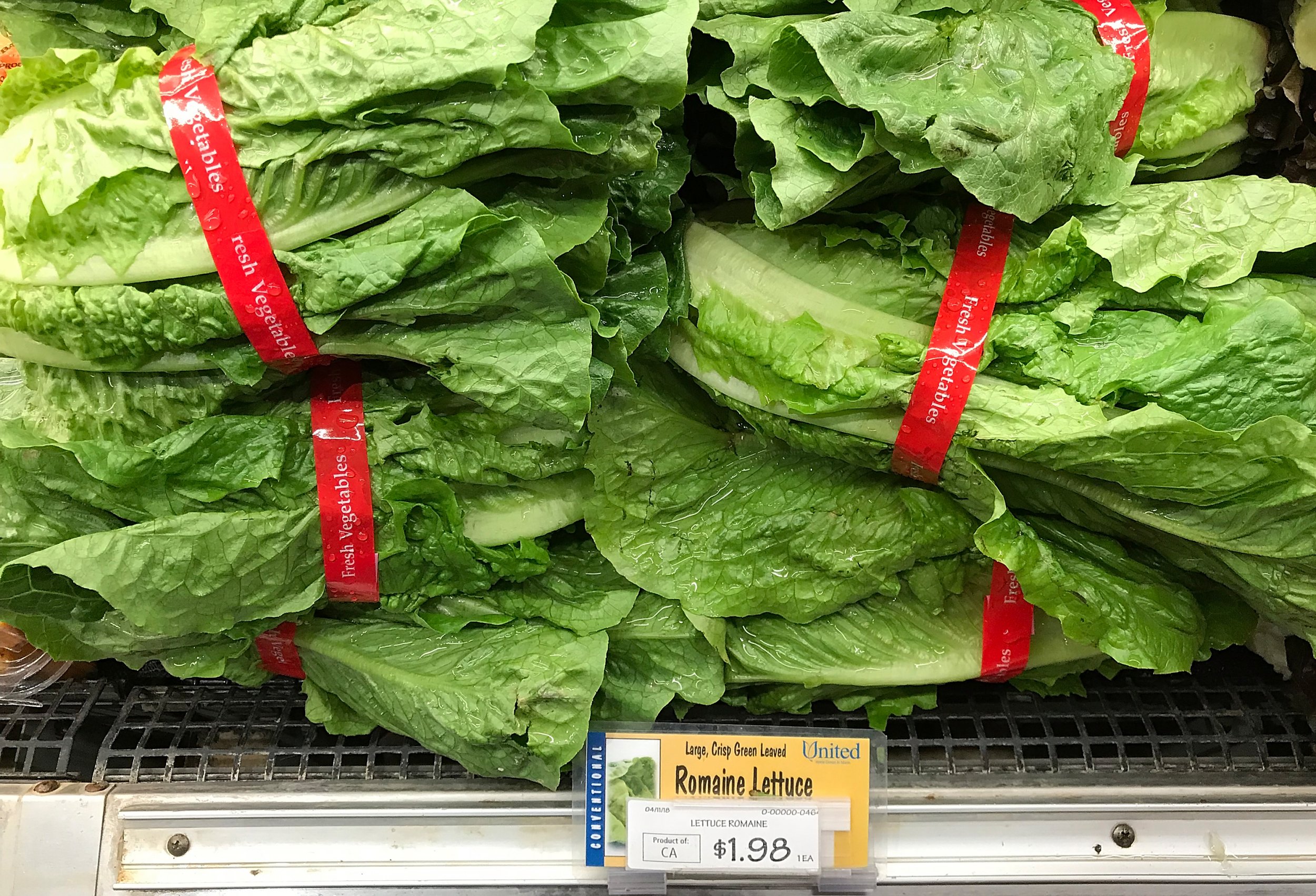 e-coli-symptoms-outbreak-grows-84-sick-after-eating-romaine-lettuce