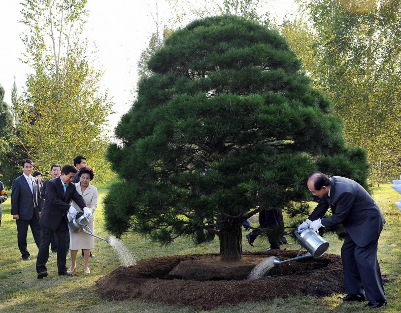 04_26_Peace_tree