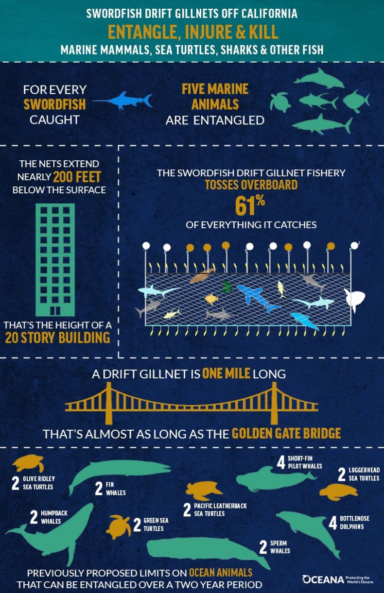 DriftnetsInfographic