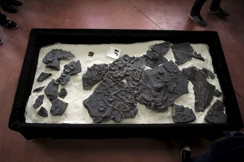 5_4_Fossils Museum display