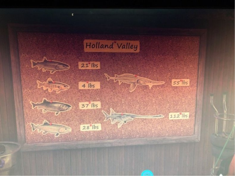 Фар край 5 рыбы. Рыба в фар край 5. Фар край 5 рыбалка рекорды. Стенд рыба. Долина Холланд far Cry 5.