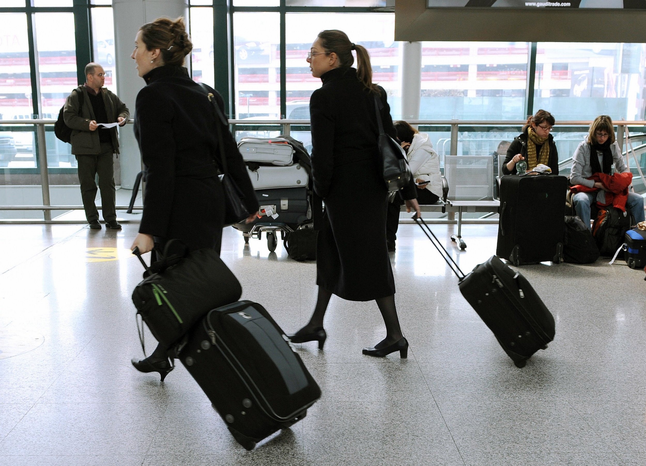 flight attendant suitcase