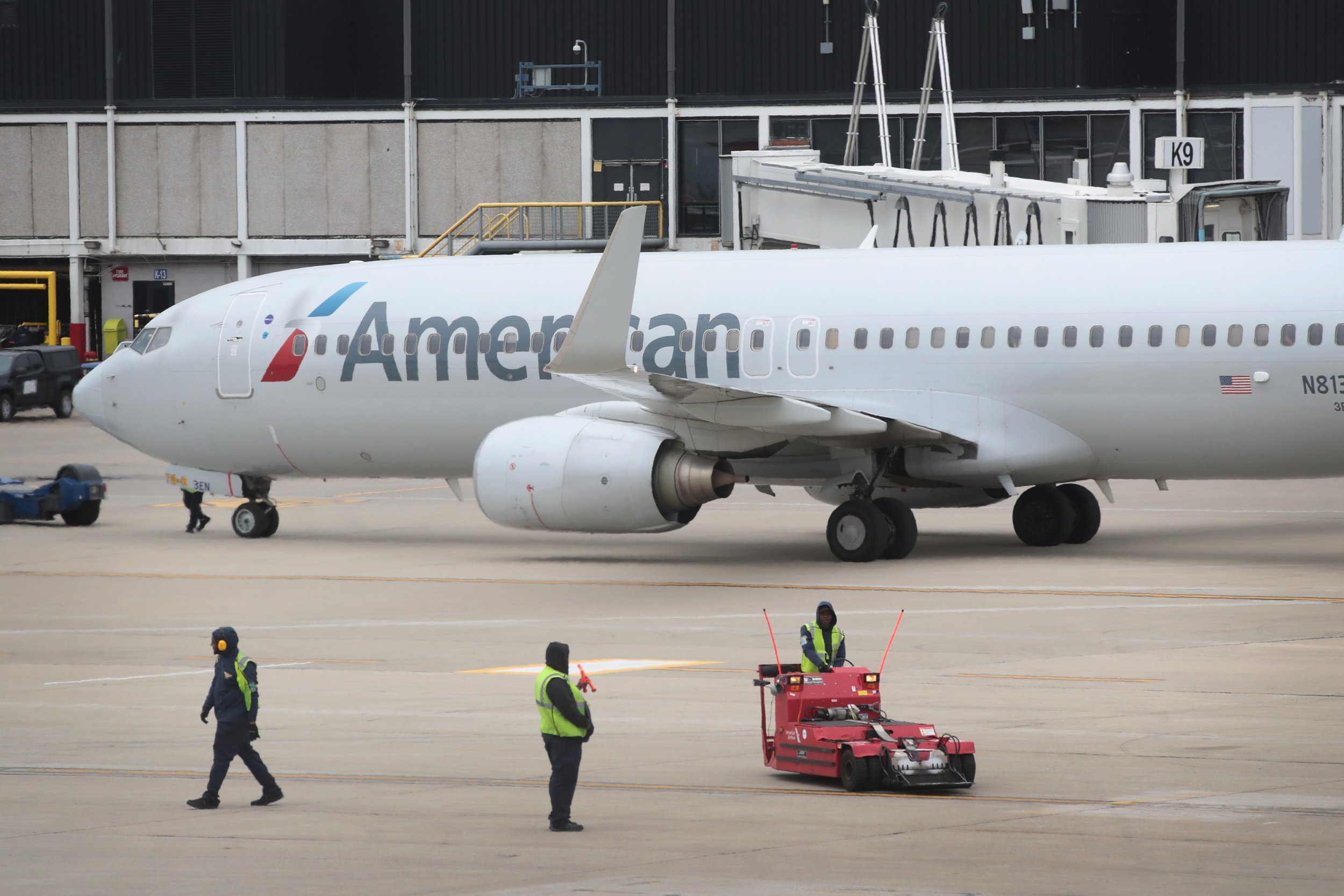 American airline animal outlet policy