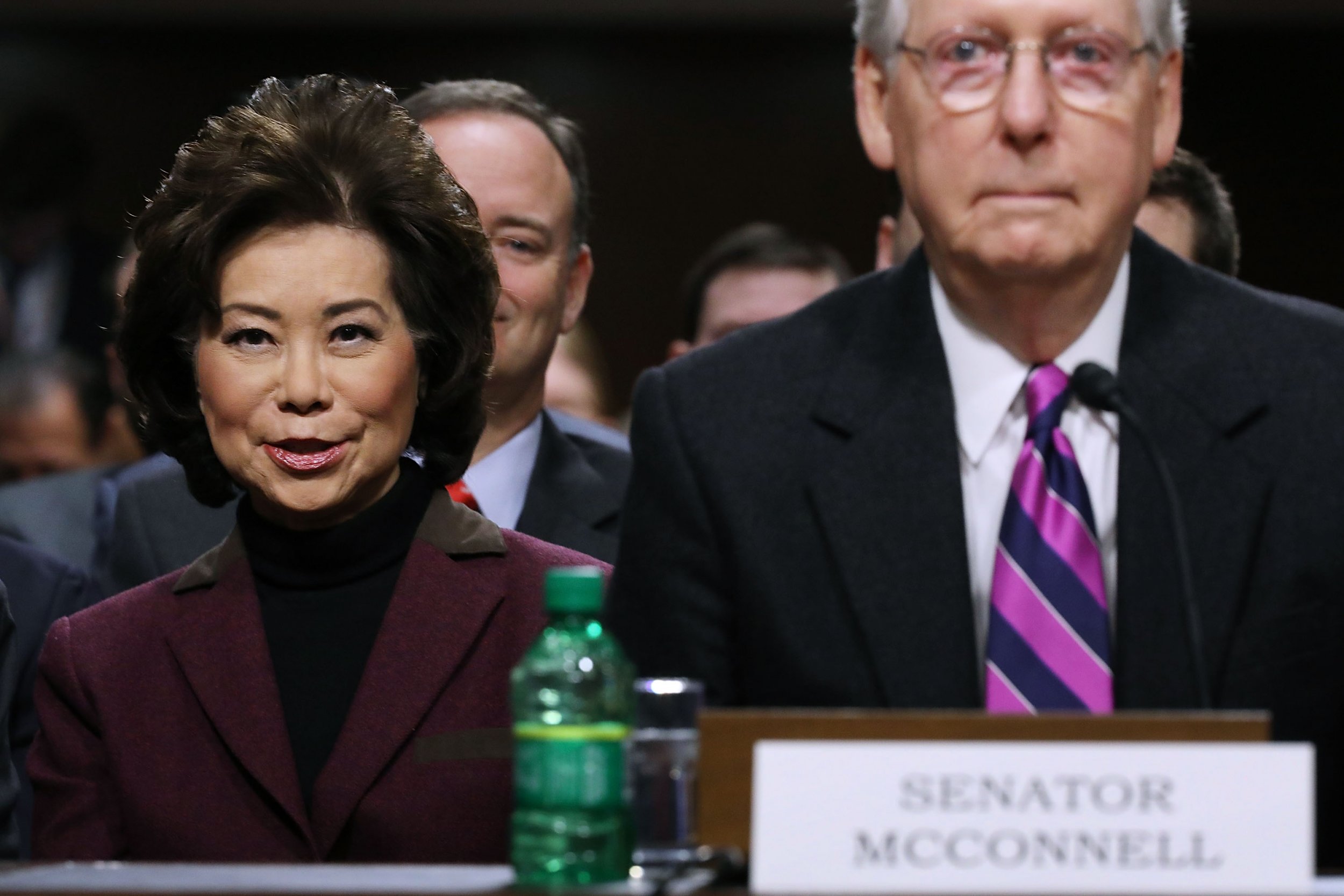 Trump Nominates Elaine Chao and Mitch McConnell's Brother ...