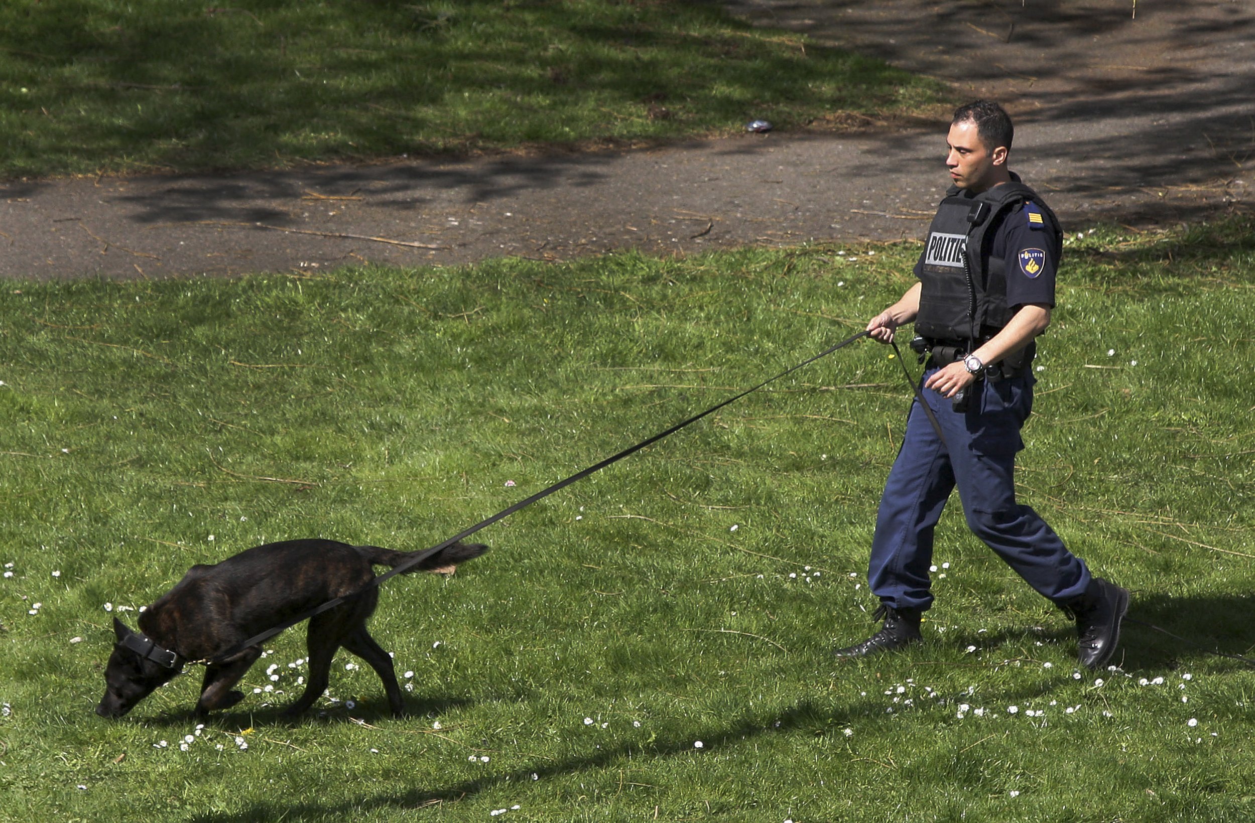 how do police train dogs