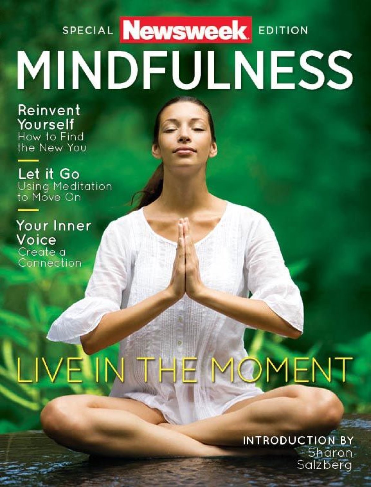 Mindfulness Reprint Cover