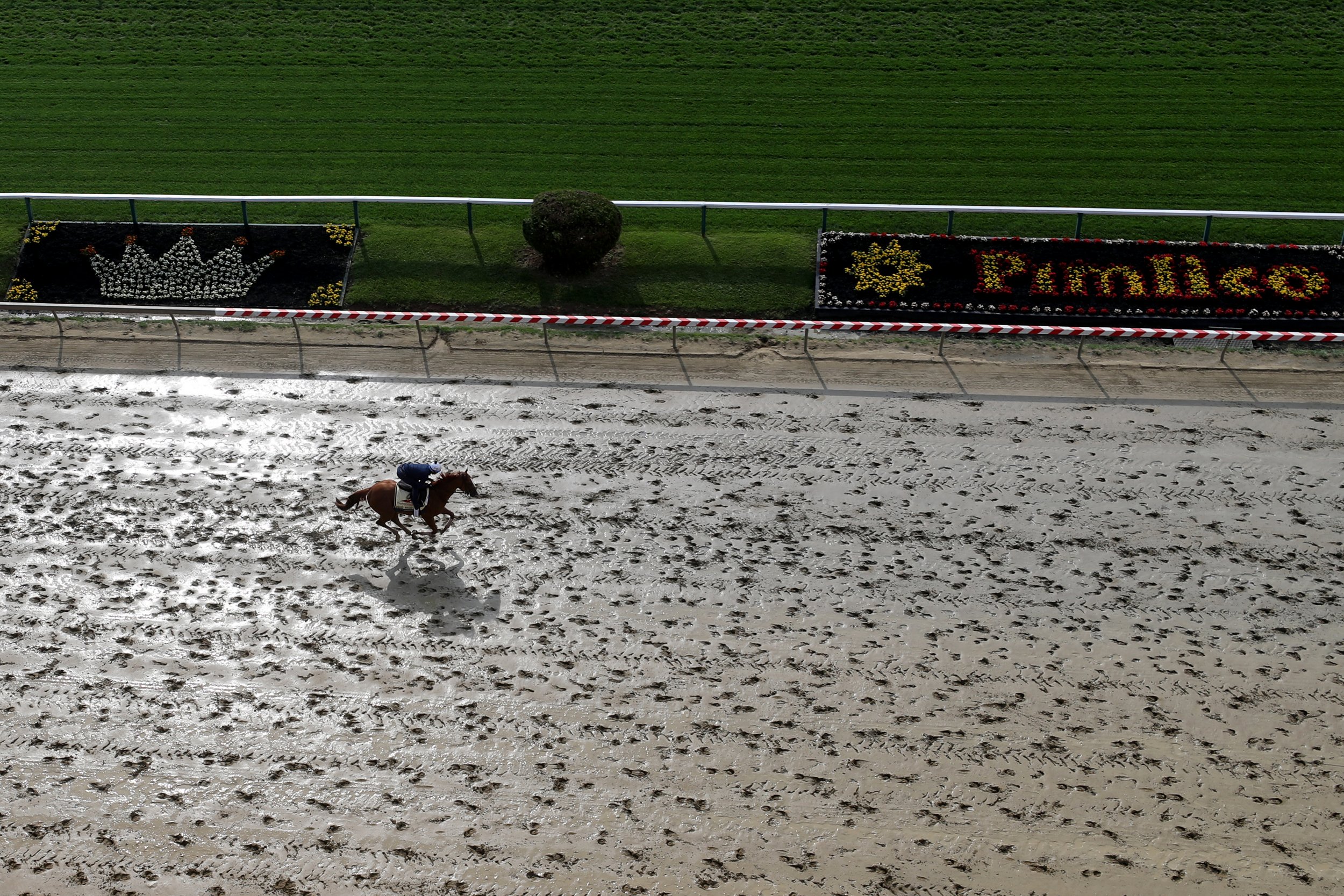 Preakness Stakes 2018 Watch Live, Location, Time