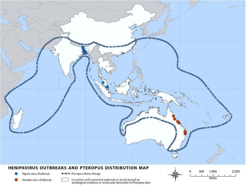 hendra-distribution-map (1)