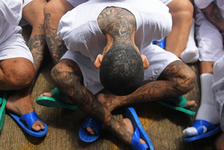MS-13 MS-13
