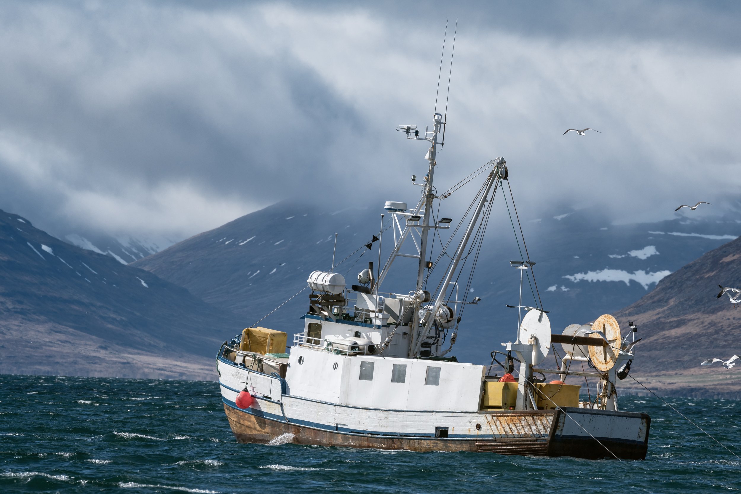 Iceland fishing