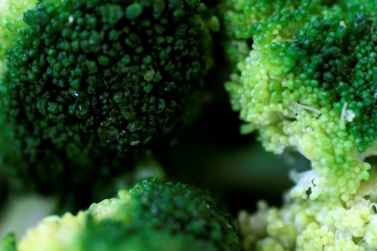 broccoli broccoli