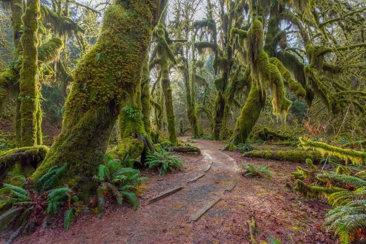 16-america-olympic-national-park