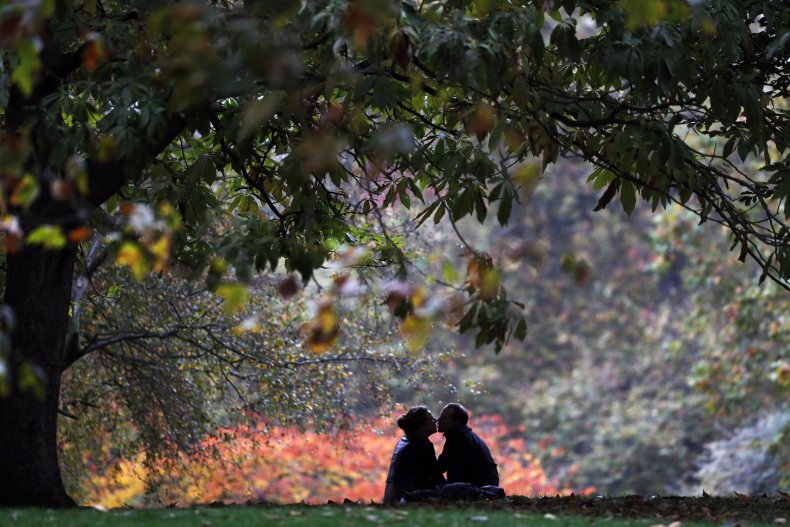 Couple beneath tree