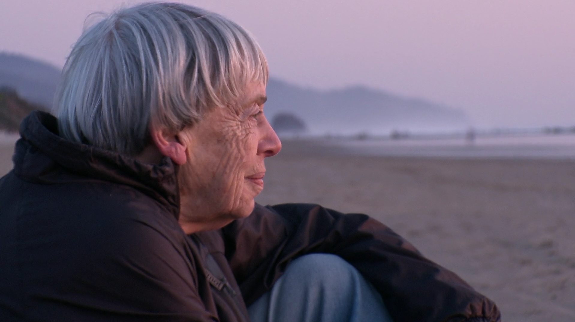 the day before the revolution ursula le guin the day before the revolution ursula le guin