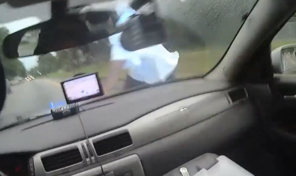 Video Rookie Georgia Cop Fired After Running Down Suspect With His Patrol Car