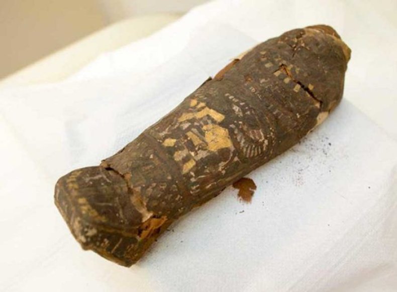 6_4_Hawk Mummy