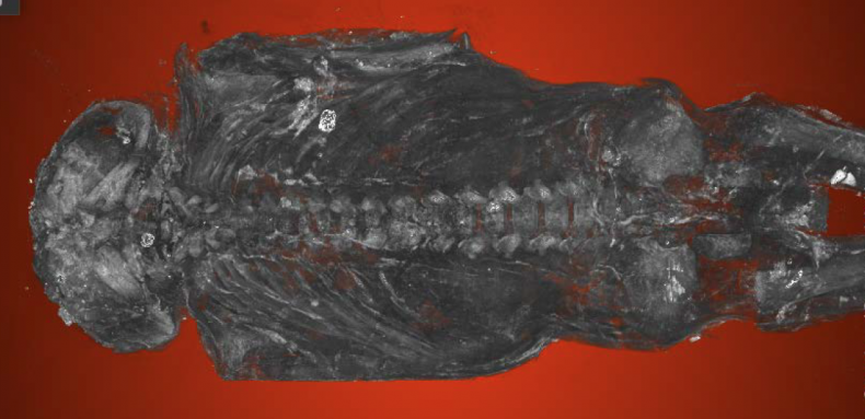 6_4_Hawk Mummy_03