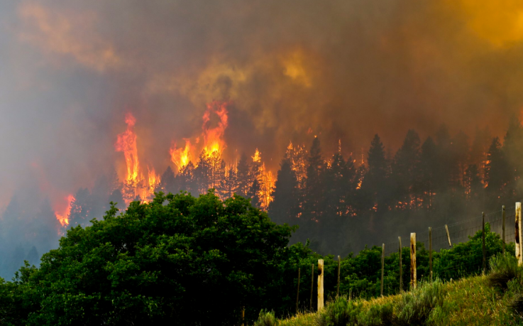 416 Fire 416 Fire