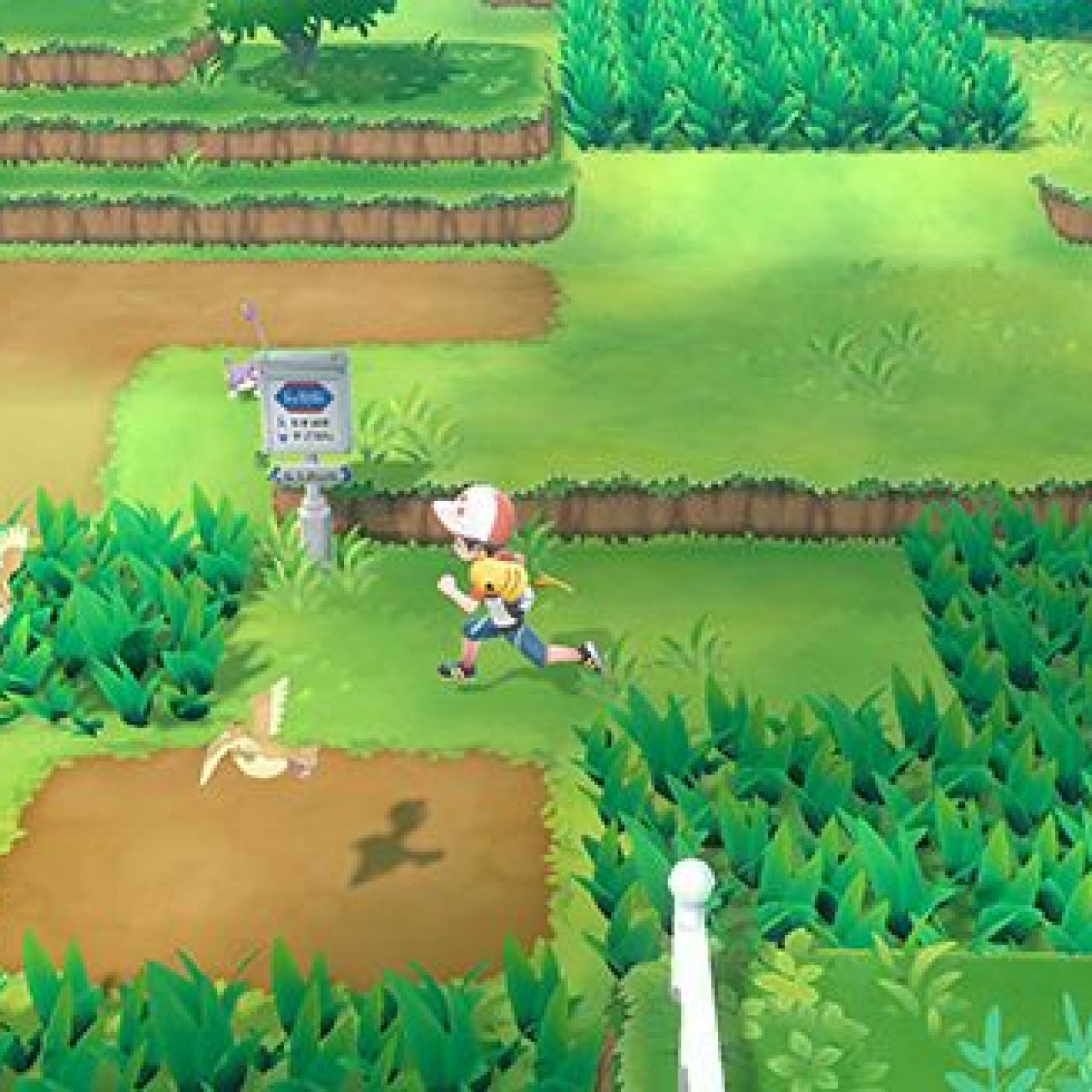 Pokémon Video Games