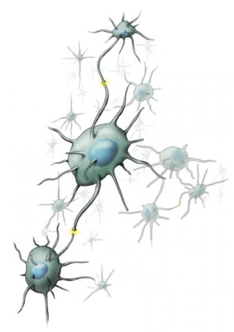 0615-Neuron