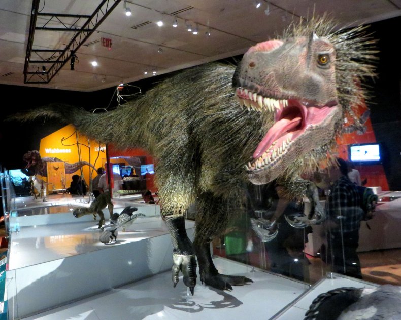 yutyrannus-huali-t-rex-jurassic-park-tyrannosaurus