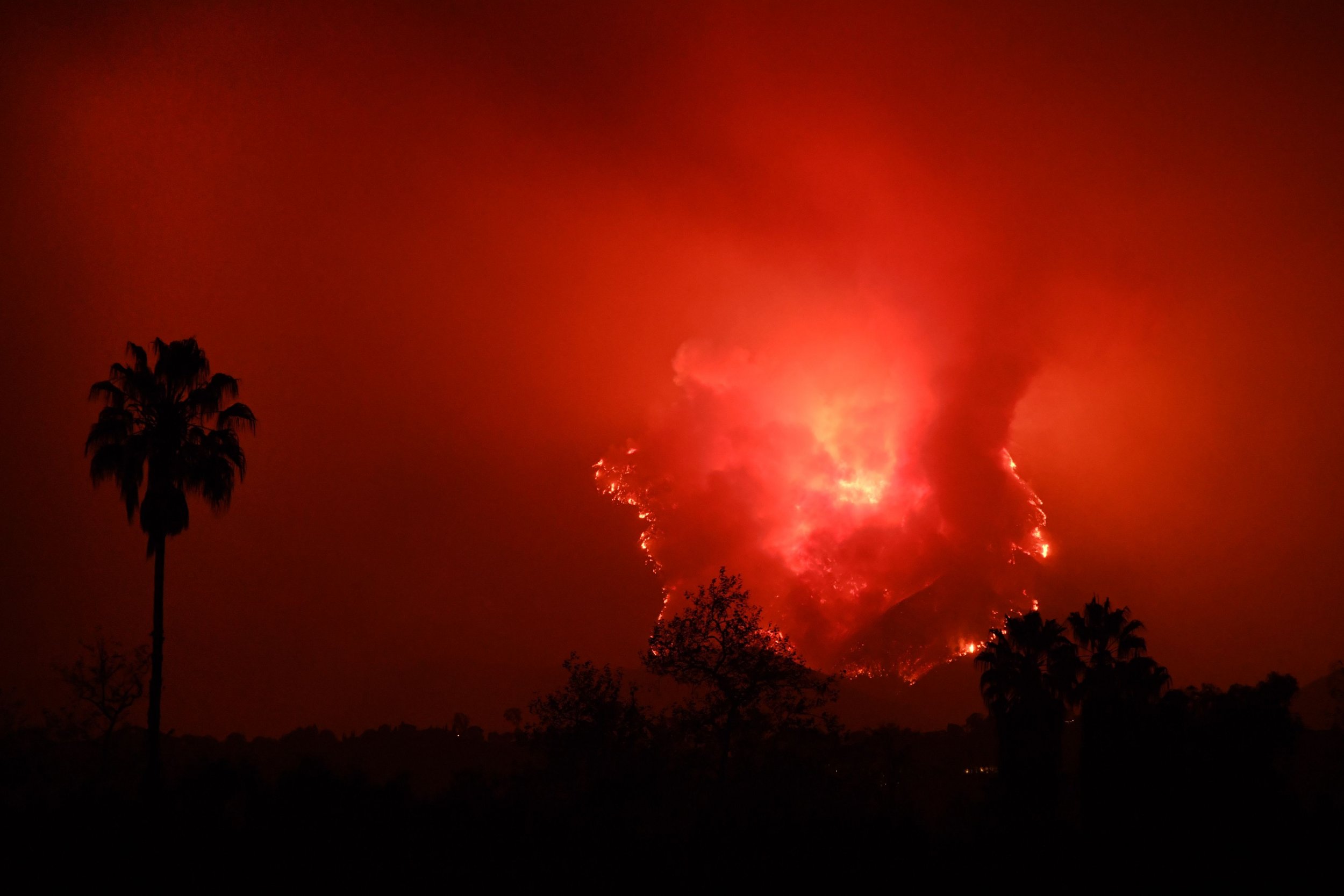 Felipe Calderon: The Human Cost of Climate Change | Opinion - Newsweek