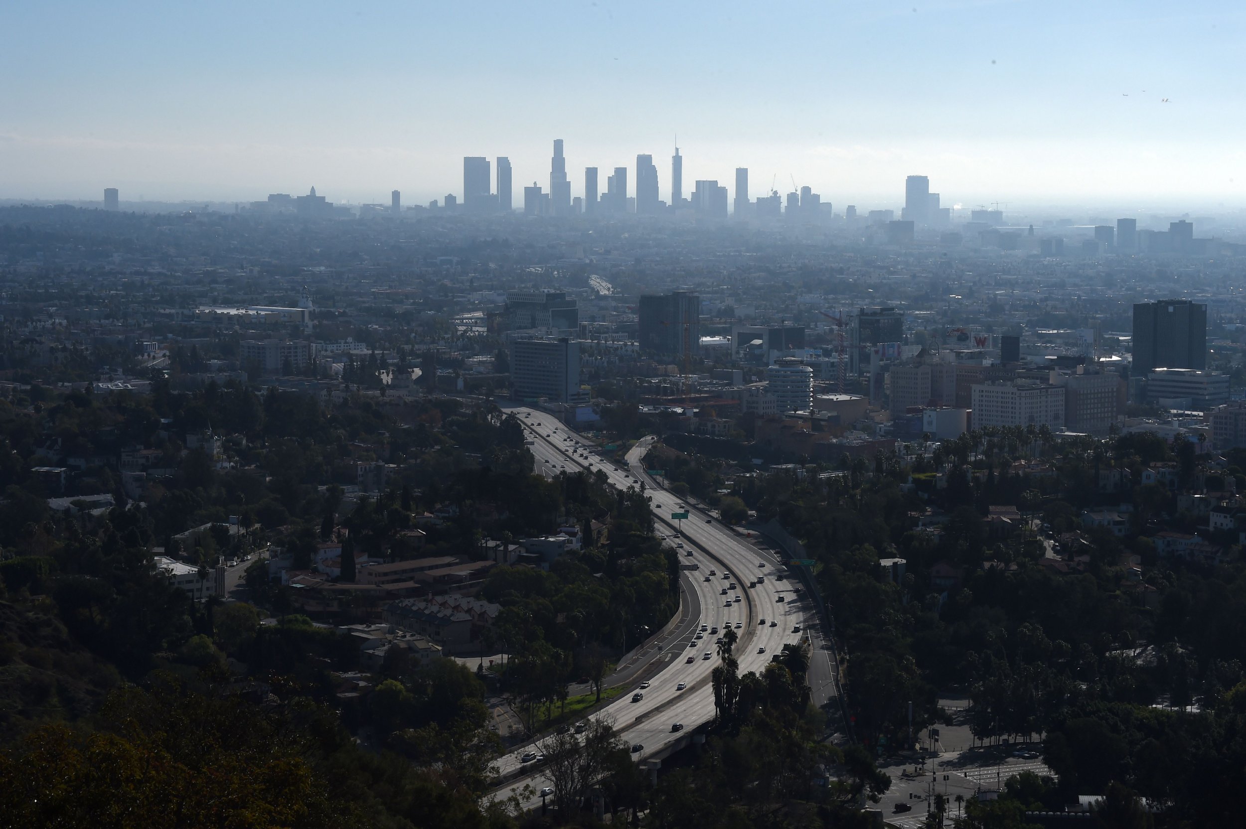 Los Angeles 110 Freeway Closed After Protester in Underwear Climbs Sign